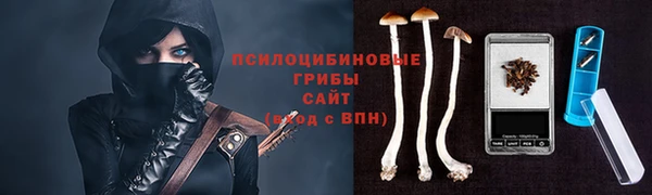наркотики Алексин