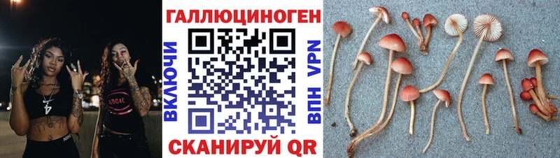 Псилоцибиновые грибы прущие грибы  Шиханы 